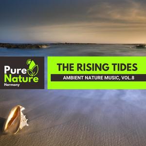 The Rising Tides - Ambient Nature Music, Vol.8