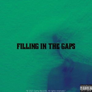 Filling In The Gaps (Explicit)