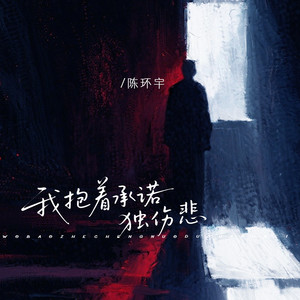 我抱着承诺独伤悲