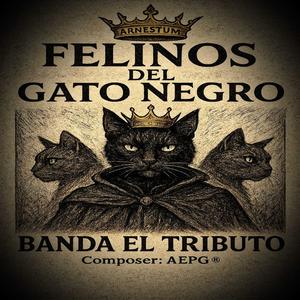 Felinos Del Gato Negro