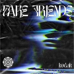 FAKE FRIENDS