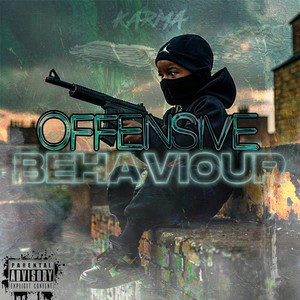 Offensive Behaviour (Explicit)