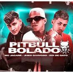 PITBULL BOLADO (Explicit)