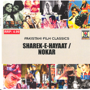 Sharek-E-Hayaat / Nokar