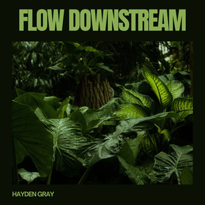 Flow Downstream