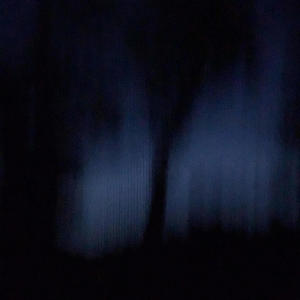 MAPLE COUNTY (Explicit)