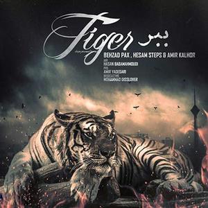 Babr(feat. Amir Kalhor)