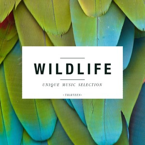 Wildlife - Unique Music Selection, Vol. 13