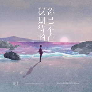 我期待的你已不在 (伴奏)
