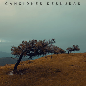 Respuestas en el mar