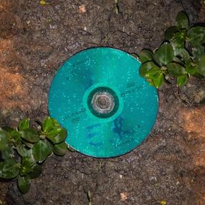 E.R. (feat. V.A.F., brace, notski & apparitions0010) (Explicit)