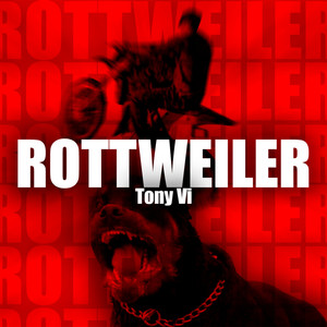 Tony Vi - Rottweiler