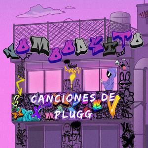 canciones de plugg (Explicit)