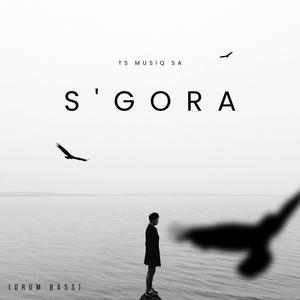 S'gora (feat. TshepZin_SA) [Explicit]