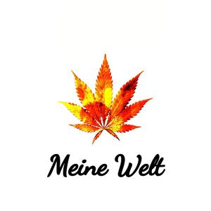 Meine Welt (Explicit)