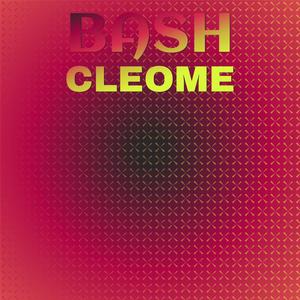 Bash Cleome