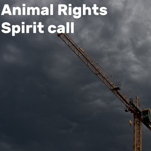 Spirit Call