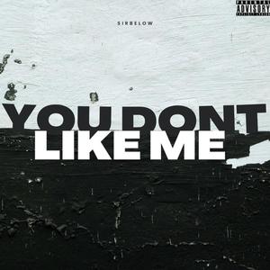 You dont like me (Explicit)