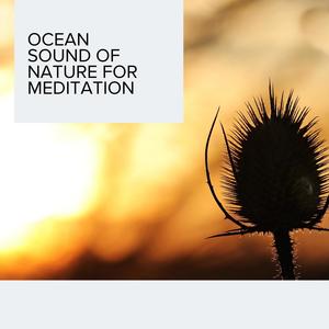 Ocean Sound of Nature for Meditation