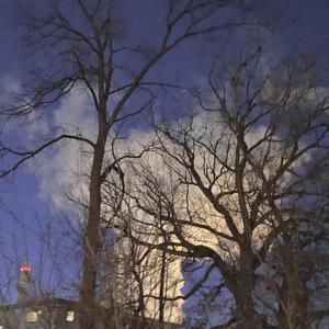 low frequency message (feat. Greg Munson)