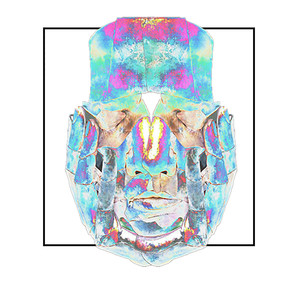 Timelapse (Explicit)