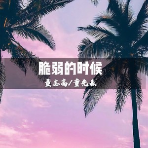 极品女生嗨曲 (DJ版)