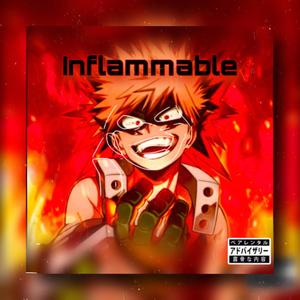 Inflammable (Explicit)