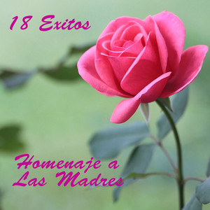 Homenaje A Las Madres - 18 Exitos