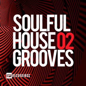 Soulful House Grooves, Vol. 02