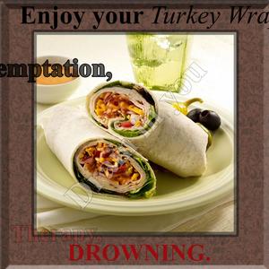 Enjoy your Turkey Wrap, Temptation, Therapy, Drowning.. (Explicit)