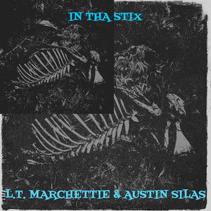 In tha Stix (Explicit)