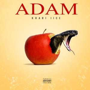 Adam (Explicit)