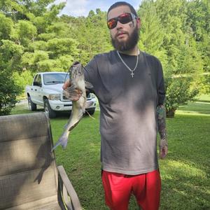 Freestyle (feat. 4L) (Explicit)