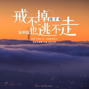 戒不掉也逃不走-女声版 (精华版)