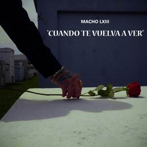 Cuando Te Vuelva a Ver