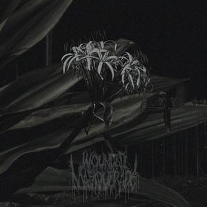 momentum of a dying star