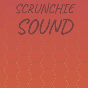 Scrunchie Sound