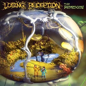 Losing Reception The Remixes (Explicit)