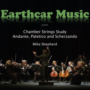 Chamber Strings Study: Andante, Patetico and Scherzando