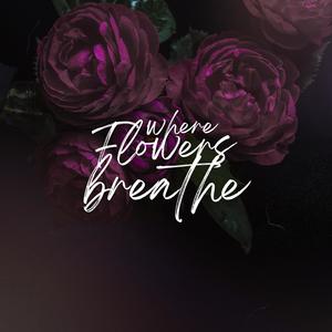 Where Flowers Breathe