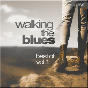 Walking the Blues: Best Of, Vol. 1 (QAXT New Sounds)