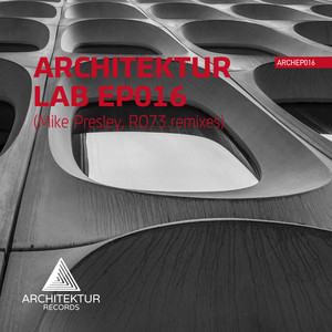 The Future (Mike Presley remix)