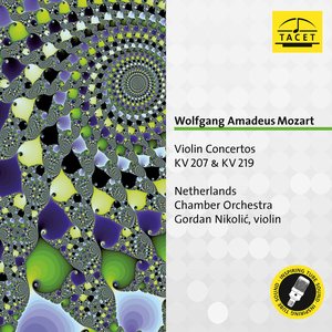 Violin Concerto No. 1 in B-Flat Major, K. 207 - I. Allegro moderato