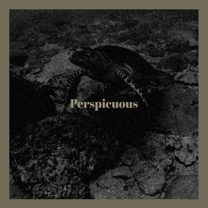 Perspicuous