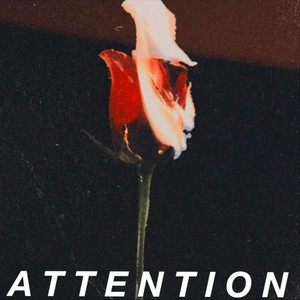 Attention