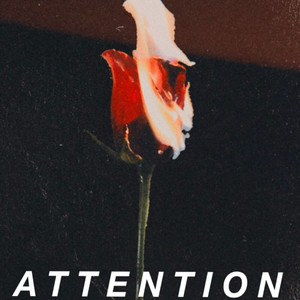 Attention