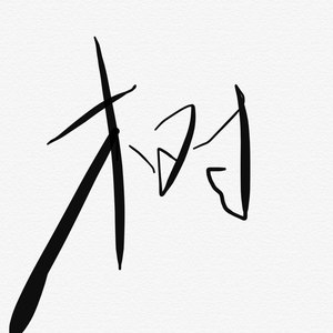 飘 (Demo)