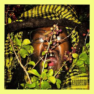 Cotton Candy Flow 2: Release Da Shame