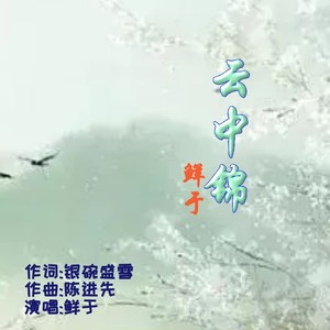 云中锦