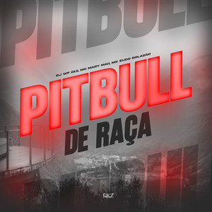 Pitbull de Raça (Explicit)